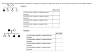 3) You have sought a job at a human genetic counseling clinic. They gave you an aptitude test shown below. Answer the yes/no questions concerning each of the following pedigrees.
Pedigree A:
YES or NO
Could this trait be inherited as a simple autosomal
recessive?
Could this trait be inherited as a simple autosomal
dominant?
Could this trait be inherited as a simple X-linked
recessive?
Could this trait be inherited as a simple X-linked
dominant?
Pedigree B:
YES or NO
Could this trait be inherited as a simple autosomal
recessive?
Could this trait be inherited as a simple autosomal
dominant?
Could this trait be inherited as a simple X-linked
recessive?
Could this trait be inherited as a simple X-linked
dominant?
