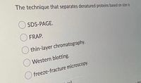 The technique that separates denatured proteins based on size is
SDS-PAGE.
FRAP.
O thin-layer chromatography.
O Western blotting.
O freeze-fracture microscopy.
