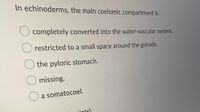 In echinoderms, the main coelomic compartment is
completely converted into the water-vascular system.
restricted to a small space around the gonads.
the pyloric stomach.
O missing.
a somatocoel.
