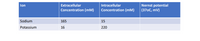 Extracellular
Nernst potential
(370C, mV)
lon
Intracellular
Concentration (mM)
Concentration (mM)
Sodium
165
15
Potassium
16
220
