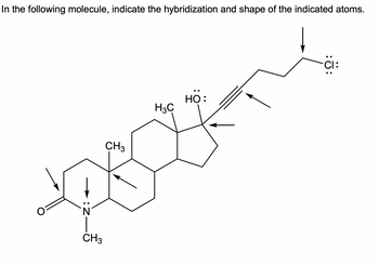 In the following molecule, indicate the hybridization and shape of the indicated atoms.
CH3
N
CH3
HÖ:
H3C
CI:
::