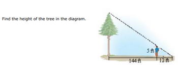 Find the height of the tree in the diagram.
144 ft
5 f
12 At