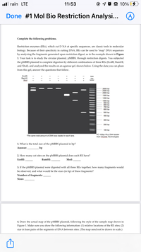 ull rain LTE
11:53
© 1 0 A 10%
Done #1 Mol Bio Restriction Analysi...
Complete the following problems.
Restriction enzymes (REs), which cut D NA at specific sequences, are classic tools in molecular
biology. Because of their specificity in cutting DNA, REs can be used to "map" DNA sequences
by analyzing the fragments generated upon restriction digest, as in the example shown in Figure
1. Your task is to study the circular plasmid, pMBBS, through restriction digests. You subjected
the PMBBS plasmid to complete digestion by different combinations of three REs (EcoRI, BamHI,
and Xhol), and analyzed the results on an agarose gel, shown below. Using the data you can glean
from this gel, answer the questions that follow.
EcoRI
BamHI
Xhol
DNA
size
ladder
600 bp
500 bp
400 bp
300 bp
200 bp
100 bp
VC 100bp Plus DNA ladder
from Vivantis Technologies
*The same total amount of DNA was loaded in each lane.
1. What is the total size of the PMBBS plasmid in bp?
Answer:
bp
2. How many cut sites on the PMBBS plasmid does each RE have?
EcoRI:
BamHI:
Xhol:
3. If the pMBBS plasmid were digested with all three REs together, how many fragments would
be observed, and what would be the sizes (in bp) of these fragments?
Number of fragments: ,
Sizes:
4. Draw the actual map of the pMBBS plasmid, following the style of the sample map shown in
Figure 1. Make sure you show the following information: (1) relative locations of the RE sites; (2)
size in base pairs of the segments of DNA between sites. (The map need not be drawn to scale.)
||
