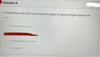 Question 6
In membranes, one of the most common targets of reactive oxygen species are
saturated fatty acids
polyunsaturated fatty acids
cholesterol