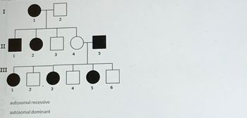 # Pedigree Analysis: Identifying Inheritance Patterns

## Overview

Pedigree analysis is a fundamental tool in genetics to study the inheritance of traits in families. This tool allows us to track the occurrence and predict the probability of traits and genetic disorders passing from one generation to the next.

## Explanation of Diagram

The given diagram represents a pedigree chart, which is used to analyze a trait (or disorder) within a family. This particular pedigree involves three generations and includes both males (squares) and females (circles). 

### Generation I
- **Individual 1**: Female (affected, represented by filled circle)
- **Individual 2**: Male (unaffected, represented by an unfilled square)

### Generation II
- **Individuals 1 and 2**: Both are affected females (filled circles)
- **Individuals 3 and 4**: Both are unaffected males (unfilled squares)
- **Individual 5**: Affected male (filled square)
  
### Generation III
- **Individual 1**: Affected female (filled circle)
- **Individual 2**: Unaffected male (unfilled square)
- **Individuals 3 and 4**: Both are unaffected males (unfilled squares)
- **Individual 5**: Affected male (filled square)
- **Individual 6**: Unaffected male (unfilled square)


## Interpreting the Inheritance Pattern

The chart provides a clear visual of the inheritance pattern. The individuals who are affected by the trait in question are shaded, whereas those unaffected are left unshaded. By analyzing the pattern across generations, one can determine whether the trait follows an autosomal dominant or autosomal recessive inheritance pattern.

**Options for the mode of inheritance**:
1. **Autosomal Recessive**
2. **Autosomal Dominant**

### Potential Analysis:
- **Autosomal Dominant Inheritance**: If a trait is autosomal dominant, at least one parent must be affected to pass the trait to the offspring. Observing the chart, we notice that affected individuals appear in every generation which hints towards a dominant pattern.

### Conclusion:
Based on the given pedigree chart, the trait appears to follow an autosomal dominant pattern. This is inferred from the pattern of inheritance wherein the trait is seen in multiple members across three generations and does not skip a generation.

Make sure to consult with a genetic counselor or medical professional for accurate diagnosis and analysis.