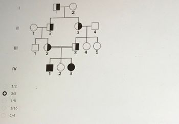 ## Pedigree Chart Analysis

The image contains a pedigree chart used to track the inheritance of a specific trait through several generations in a family.

### Explanation of the Pedigree Chart

The pedigree consists of four generations, labeled with Roman numerals I to IV on the left-hand side. 

**Legend:**
- Squares represent males.
- Circles represent females.
- Filled shapes indicate individuals expressing the trait.
- Half-filled shapes indicate carriers of the trait (heterozygous individuals).
- Blank shapes indicate individuals not expressing the trait, nor carriers.

### Generations

**Generation I:**
- Individual 1: Male, carrier of the trait (half-filled square).
- Individual 2: Female, does not express the trait (blank circle).

**Generation II:**
- Individual 1: Female, does not express the trait (blank circle).
- Individual 2: Male, expresses the trait (filled square).
- Individual 3: Female, carrier of the trait (half-filled circle).
- Individual 4: Male, does not express the trait (blank square).

**Generation III:**
- Individual 1: Male, does not express the trait (blank square).
- Individual 2: Female, expresses the trait (filled circle).
- Individual 3: Male, carrier of the trait (half-filled square).
- Individual 4: Female, does not express the trait (blank circle).
- Individual 5: Female, does not express the trait (blank circle).

**Generation IV:**
- Individual 1: Male, expresses the trait (filled square).
- Individual 2: Female, does not express the trait (blank circle).
- Individual 3: Male, expresses the trait (filled square).

### Question and Opportunities

Below the pedigree chart, a multiple-choice question is presented, with the question indicated by a black circle:
- Select the correct probability regarding a given trait.
  - 1/2
  - 3/8 (selected)
  - 1/8
  - 1/16
  - 1/4

This pedigree chart helps in understanding the mode of inheritance of a certain genetic trait within a family, which can be crucial for genetic counseling, risk assessment, and understanding hereditary patterns.