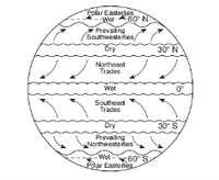 Rolar Easteries
-Wet A60 N
Prevailing
Southweste ities/
Bry
30N
Northeast
Trades
Wet
Southeast
Trades
Dry
30 S
Prevailng
Northweste rlies
Wet 60S
Palar Easterlies
