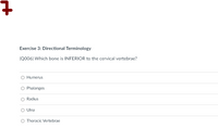 Exercise 3: Directional Terminology
(Q006) Which bone is INFERIOR to the cervical vertebrae?
Humerus
Phalanges
Radius
O Ulna
O Thoracic Vertebrae

