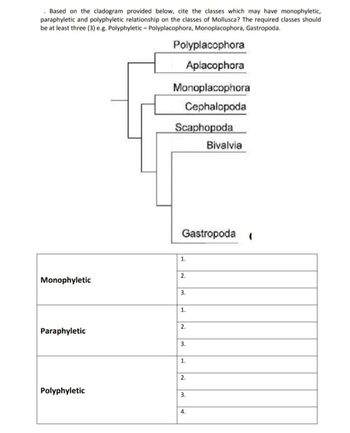 Answered: . Based on the cladogram provided… | bartleby