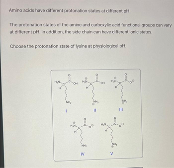 Amino acids have different protonation states at different pH.
The protonation states of the amine and carboxylic acid functional groups can vary
at different pH. In addition, the side chain can have different ionic states.
Choose the protonation state of lysine at physiological pH.
H₂N-
H
NH₂
I
OH
H₂N.
H₂N
H
0=6
NH₂
IV
NH₂
||
OH
H₂N.
H
H₂N
H
NH₂
O
V
NH₂
|||