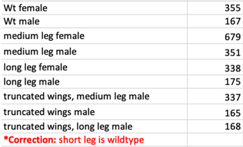 Wt female
Wt male
medium leg female
medium leg male
long leg female
long leg male
truncated wings, medium leg male
truncated wings male
truncated wings, long leg male
*Correction: short leg is wildtype
355
167
679
351
338
175
337
165
168