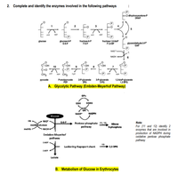 Answered: O Dihydroxyacetone-p Dhap Atp Adp Atp… 