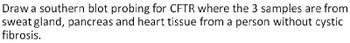 Draw a southern blot probing for CFTR where the 3 samples are from
sweat gland, pancreas and heart tissue from a person without cystic
fibrosis.