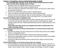 Chapter 3 - Foundations: Tissues and Early Embryology (p. 49-66)
You Only Need Skim Over pgs. 67-76: Those Tissues Will Be Reviewed In Detail
Later, So Think About Getting a Start On It Now.
Generally, where can epithelial tissue be found in the body?
What is the apical and basal surface of epithelial tissue?
What is the basement membrane? What types of tissue can be found on either side of
the basement membrane?
What are the characteristic shapes of cells in epithelial tissue?
What is the difference between stratified and simple epithelial tissue?
Describe the three ways epithelial cells can secrete substances. When a group of
epithelial cells secrete substances, what is that called (Hint: it is a 5-letter word)?
Describe the different types of epithelial tissue
For the following list of epithelial tissues be able to describe where you can find it in the
human body and describe what basic function it serves: simple squamous, simple
cuboidal, simple columnar, ciliated pseudostratified columnar, stratified squamous, and
transitional.
Think about how these tissues are arranged and be able to identify them from
images (histology stains).
Describe the structural and functional characteristics of connective tissue proper and
cartilage
Describe the acellular (not cell) components of connective tissue proper and cartilage?
What is an extracellular matrix?
Describe the different types of fibers. What are their functional properties?
What are the characteristic cells you can find in connective tissue proper and cartilage?
What do they do for the tissue?
Describe the differences between loose connective tissue, dense connective tissue,
and cartilage.
Identify different types of connective tissue proper and cartilage
For the following list of connective tissues be able to describe where you can find it in
the human body and describe what function it serves: areolar, adipose, reticular, dense
regular, dense irregular, elastic, hyaline cartilage, fibrocartilage, and elastic cartilage.
