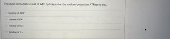 **Question:**

The most immediate result of ATP hydrolysis for the sodium/potassium ATPase is the...

**Options:**

- ○ binding of ADP
- ○ release of K+
- ○ release of Na+
- ○ binding of K+

**Explanation:**

This question tests your understanding of the sodium/potassium ATPase mechanism. The enzyme is crucial for maintaining the electrochemical gradients of sodium and potassium ions across the cell membrane, essential for various cellular processes. When ATP is hydrolyzed by the ATPase, it leads to the phosphorylation of the enzyme, resulting in conformational changes that drive the movement of sodium and potassium ions.