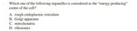 Which one of the following organelles is considered as the "energy producing"
centre of the cell?
A. rough endoplasmic reticulum
B. Golgi apparatus
C. mitochondria
D. ribosomes

