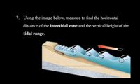 7. Using the image below, measure to find the horizontal
distance of the intertidal zone and the vertical height of the
tidal range.
Surf