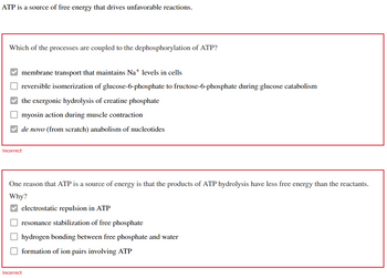 ATP is a source of free energy that drives unfavorable reactions.
Which of the processes are coupled to the dephosphorylation of ATP?
membrane transport that maintains Na+ levels in cells
reversible isomerization of glucose-6-phosphate to fructose-6-phosphate during glucose catabolism
the exergonic hydrolysis of creatine phosphate
myosin action during muscle contraction
de novo (from scratch) anabolism of nucleotides
Incorrect
One reason that ATP is a source of energy is that the products of ATP hydrolysis have less free energy than the reactants.
Why?
electrostatic repulsion in ATP
resonance stabilization of free phosphate
hydrogen bonding between free phosphate and water
formation of ion pairs involving ATP
Incorrect