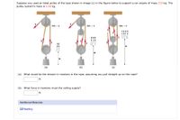 Suppose you used an ideal pulley of the type shown in image (c) in the figure below to support a car engine of mass 215 kg. The
pulley system's mass is 5.50 kg.
MA - 2
МА - 3
MA = 4
TTTT
TT
w
(a)
(b)
(c)
(a) What would be the tension in newtons in the rope, assuming you pull straight up on the rope?
N
(b) What force in newtons must the ceiling supply?
N
Additional Materials
O Reading
