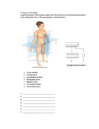 C. Planes of the body
Label the planes in the diagram below with the terms in the accompanying bulleted
list by writing the term in the appropriate numbered blank.
1.
2.
3.
4.
5.
6.
7.
.
Cross-section
. Frontal plane
●
(a) Right anterolateral view
●
Longitudinal section
Midsagittal plane
Oblique plane
Parasagittal plane
Transverse plane
6
7
(b) Longitudinal and cross-sections