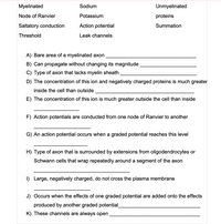 Myelinated
Sodium
Unmyelinated
Node of Ranvier
Potassium
proteins
Saltatory conduction
Action potential
Summation
Threshold
Leak channels
A) Bare area of a myelinated axon
B) Can propagate without changing its magnitude
C) Type of axon that lacks myelin sheath
D) The concentration of this ion and negatively charged proteins is much greater
inside the cell than outside
E) The concentration of this ion is much greater outside the cell than inside
F) Action potentials are conducted from one node of Ranvier to another
G) An action potential occurs when a graded potential reaches this level
H) Type of axon that is surrounded by extensions from oligodendrocytes or
Schwann cells that wrap repeatedly around a segment of the axon
I) Large, negatively charged, do not cross the plasma membrane
J) Occurs when the effects of one graded potential are added onto the effects
produced by another graded potential
K) These channels are always open
