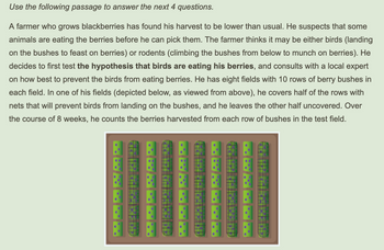 Use the following passage to answer the next 4 questions.
A farmer who grows blackberries has found his harvest to be lower than usual. He suspects that some
animals are eating the berries before he can pick them. The farmer thinks it may be either birds (landing
on the bushes to feast on berries) or rodents (climbing the bushes from below to munch on berries). He
decides to first test the hypothesis that birds are eating his berries, and consults with a local expert
on how best to prevent the birds from eating berries. He has eight fields with 10 rows of berry bushes in
each field. In one of his fields (depicted below, as viewed from above), he covers half of the rows with
nets that will prevent birds from landing on the bushes, and he leaves the other half uncovered. Over
the course of 8 weeks, he counts the berries harvested from each row of bushes in the test field.
NASKA