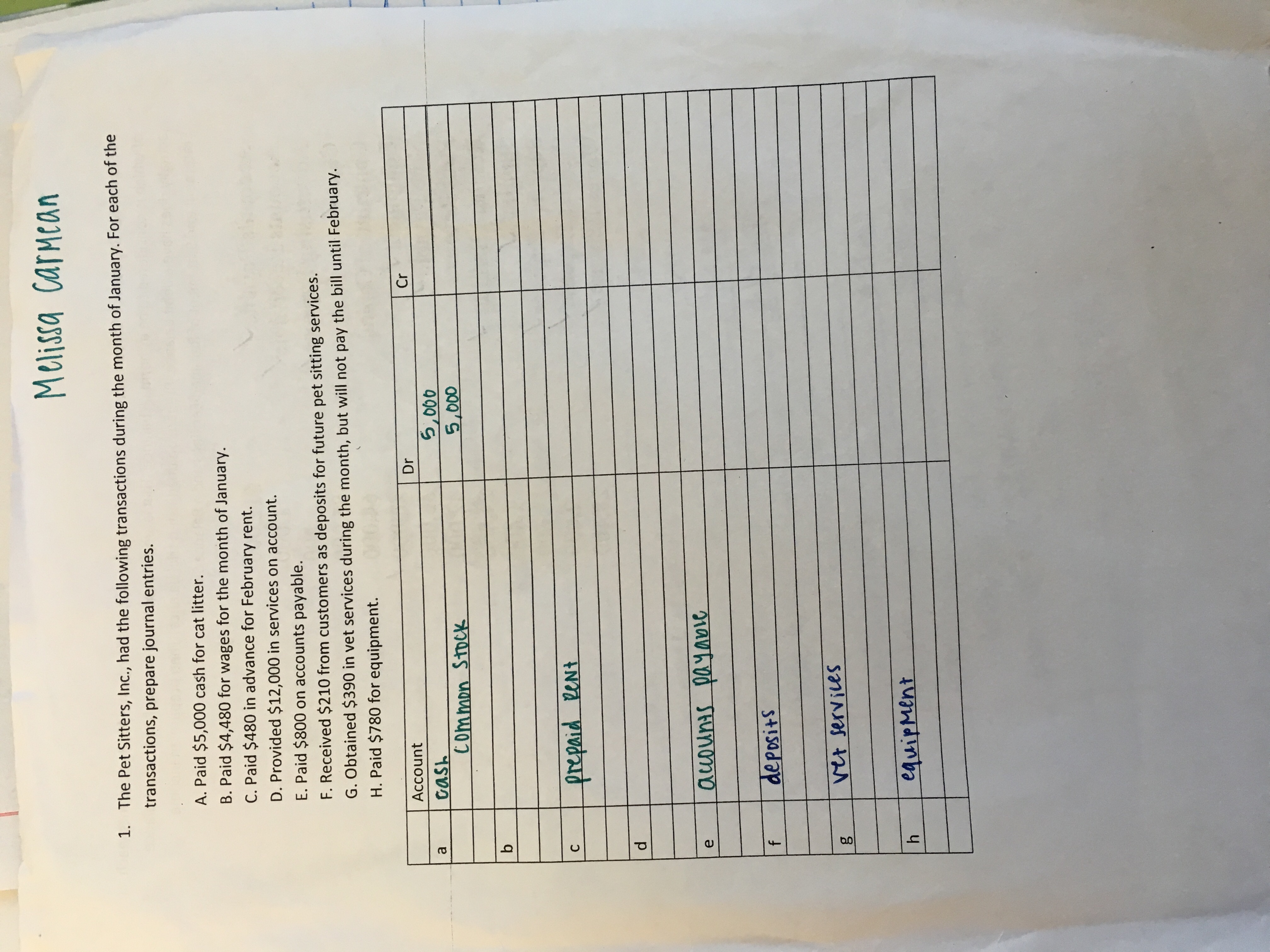 Melissa CaTHcan
The Pet Sitters, Inc., had the following transactions during the month of January. For each of the
1.
transactions, prepare journal entries.
A. Paid $5,000 cash for cat litter.
B. Paid $4,480 for wages for the month of January.
C. Paid $480 in advance for February rent.
D. Provided $12,000 in services on account.
E. Paid $800 on accounts payable.
F. Received $210 from customers as deposits for future pet sitting services.
G. Obtained $390 in vet services during the month, but will not pay the bill until February.
H. Paid $780 for equipment.
Cr
Dr
Account
000
5,000
Gash
Common Stock
а
b
prepaid eeNt
С
payavie
auounis
е
deposits
f
Vet services
eauipMent
h
о0
