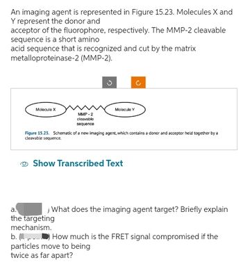 An imaging agent is represented in Figure 15.23. Molecules X and
Y represent the donor and
acceptor of the fluorophore, respectively. The MMP-2 cleavable
sequence is a short amino
acid sequence that is recognized and cut by the matrix
metalloproteinase-2
(MMP-2).
Molecule X
MMP-2
cleavable
sequence
Molecule Y
Figure 15.23. Schematic of a new imaging agent, which contains a donor and acceptor held together by a
cleavable sequence.
Show Transcribed Text
What does the imaging agent target? Briefly explain
a.
the targeting
mechanism.
b. (...) How much is the FRET signal compromised if the
particles move to being
twice as far apart?