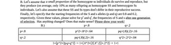 B. Let's assume that a small proportion of the homozygote ss individuals do survive and reproduce, but
they produce (on average, only 10% as many offspring as homozygote SS and heterozygote Ss
individuals. Let's also assume that these SS and Ss types don't differ in their reproductive success.
Finally, let's specify that the starting frequencies of the S and s alleles (p and q) are 0.8 and 0.2,
respectively. Given these values, please solve for p' and q', the frequencies of S and s after one generation
of selection. Has anything changed? Does that make sense? Please show your work!
B.)
p=.8
p^2=.8^2=.64
pq=(.8)(.2)=.16
P=.8
q=.2
q=.2
pq=(.8)(.2)=.16
q^2=.2^2=.04
1=(p^2+2pq+q^2) → 1=(.8^2+(2(.8*.2))+.2^2) → 1=1