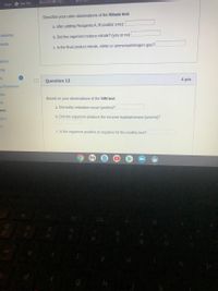 HonorSociety org č.
* SpiasiLa
* Maps
New Tab
Describe your color observations of the Nitrate test.
a. after adding Reagents A, B (and/or znic):
cements
b. Did the organism reduce nitrate? (yes or no)
ments
c. Is the final product nitrate, nitrite or ammonia/nitrogen gas?
sions
ing
es
Question 13
4 pts
y Resources
ules
Based on your observations of the SIM test:
ple
a. Did sulfur reduction occur (yes/no)?
zes
b. Did the organism produce the enzyme tryptophanase (yes/no)?
abus
m
c. Is the organism positive or negative for the motility test?
