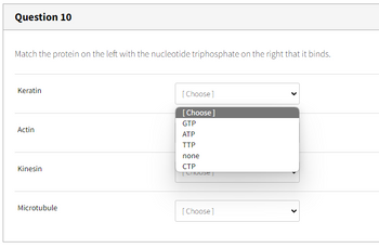 Question 10
Match the protein on the left with the nucleotide triphosphate on the right that it binds.
Keratin
Actin
Kinesin
Microtubule
[Choose]
[Choose]
GTP
ATP
TTP
none
CTP
TCHOUSET
[Choose]