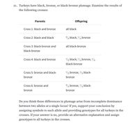 21. Turkeys have black, bronze, or black-bronze plumage. Examine the results of
the following crosses:
Parents
Offspring
Cross 1: black and bronze
all black
Cross 2: black and black
34 black, 1/4 bronze
Cross 3: black-bronze and
all black-bronze
black-bronze
Cross 4: black and bronze
2 black, 1/4 bronze, ¼
black-bronze
Cross 5: bronze and black-
2 bronze, 1/2 black-
bronze
bronze
Cross 6: bronze and
34 bronze, 14 black-
bronze
bronze
Do you think these differences in plumage arise from incomplete dominance
between two alleles at a single locus? If yes, support your conclusion by
assigning symbols to each allele and providing genotypes for all turkeys in the
crosses. If your answer is no, provide an alternative explanation and assign
genotypes to all turkeys in the crosses.
