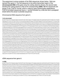 The assignment involves analysis of the DNA sequences shown below. Both are
derived from gene A. The first sequence is the entire transcribed region of the
chromosomal DNA of the gene (only the coding strand is shown), the second (also
showing the coding strand) is that of the corresponding CDNA. NB the sequences are
shown in the "FASTA" format, which is used by many bioinformatics applications.
FASTA-formatted sequences have a > symbol followed by a little text and a paragraph
break before the actual nucleotide sequence).
Chromosomal DNA sequence from gene A
>chromosomal
ACATTTGCTTCTGACACAACTGTGTTCACTAGCAACCTCAAACAGACACCATGGTGCATCTGACTCCTGAG
GAGAAGTCTGCCGTTACTGCCCTGTGGGGCAAGGTGAACGTGGATGAAGTTGGTGGTGAGGCCCTGGGCAG
GTTGGTATCAAGGTTACAAGACAGGTTTAAGGAGACCAATAGAAACTGGGCATGTGGAGACAGAGAAGACT
CTTGGGTTTCTGATAGGCACTGACTCTCTCTGCCTATTGGTCTATTTTCCCACCCTTAGGCTGCTGGTGGT
CTACCCTTGGACCCAGAGGTTCTTTGAGTCCTTTGGGGATCTGTCCACTCCTGATGCTGTTATGGGCAACC
CTAAGGTGAAGGCTCATGGCAAGAAAGTGCTCGGTGCCTTTAGTGATGGCCTGGCTCACCTGGACAACCTC
AAGGGCACCTTTGCCACACTGAGTGAGCTGCACTGTGACAAGCTGCACGTGGATCCTGAGAACTTCAGGGT
GAGTCTATGGGACGCTTGATGTTTTCTTTCCCCTTCTTTTCTATGGTTAAGTTCATGTCATAGGAAGGGGA
TAAGTAACAGGGTACAGTTTAGAATGGGAAACAGACGAATGATTGCATCAGTGTGGAAGTCTCAGGATCGT
TTTAGTTTCTTTTATTTGCTGTTCATAACAATTGTTTTCTTTTGTTTAATTCTTGCTTTCTTTTTTTTTCT
TCTCCGCAATTTTTACTATTATACTTAATGCCTTAACATTGTGTATAACAAAAGGAAATATCTCTGAGATA
CATTAAGTAACTTAAAAAAAAACTTTACACAGTCTGCCTAGTACATTACTATTTGGAATATATGTGTGCTT
ATTTGCATATTCATAATCTCCCTACTTTATTTTCTTTTATTTTTAATTGATACATAATCATTATACATATT
TATGGGTTAAAGTGTAATGTTTTAATATGTGTACACATATTGACCAAATCAGGGTAATTTTGCATTTGTAA
TTTTAAAAAATGCTTTCTTCTTTTAATATACTTTTTTGTTTATCTTATTTCTAATACTTTCCCTAATCTCT
ттстттCAGGGCААTAАTGATACAАTGTATCATGCCтстттсCACCATTсТААAGAATAACAGTGATAATT
TCTGGGTTAAGGCAATAGCAATATCTCTGCATATAAATATTTCTGCATATAAATTGTAACTGATGTAAGAG
GTTTCATATTGCTAATAGCAGCTACAATCCAGCTACCATTCTGCTTTTATTTTATGGTTGGGATAAGGCTG
GATTATTCTGAGTCCAAGCTAGGCCCTTTTGCTAATCATGTTCATACCTCTTATCTTCCTCCCACAGCTCC
TGGGCAACGTGCTGGTCTGTGTGCTGGCCCATCACTTTGGCAAAGAATTCACCCCACCAGTGCAGGCTGCC
TATCAGAAAGTGGTGGCTGGTGTGGCTAATGCCCTGGCCCACAAGTATCACTAAGCTCGCTTTCTTGCTGT
ССААТТТСТАТТАAAGGTTCCTTTGTTCCCTAAGTCСAАСТАСТАААСТGGGGGATATTATGAAGGGCCTT
GAGCATCTGGATTCTGCCTAATAAAAAACATTTATTTTCATTGCAA
CDNA sequence from gene A
>CDNA
ACATTTGCTTCTGACACAACTGTGTTCACTAGCAACCTCAAACAGACACcCATGGTGCATCTGACTCCTGAG
GAGAAGTCTGCCCGTTACTGCCCTGTGGGGCAAGGTGAACGTGGATGAAGTTGGTGGTGAGGCCCTGGGCAG
GCTGCTGGTGGTCTACCCTTGGACCCAGAGGTTCTTTGAGTCCTTTGGGGATCTGTCCACTCCTGATGCTG
TTATGGGCAACCCTAAGGTGAAGGCTCATGGCAAGAAAGTGCTCGGTGCCTTTAGTGATGGCCTGGCTCAC
CTGGACAACCTCAAGGGCACCTTTGCCACACTGAGTGAGCTGCACTGTGACAAGCTGCACGTGGATCCTGA
GAACTTCAGGCTCCTGGGCAACGTGCTGGTCTGTGTGCTGGCCCATCACTTTGGCAAAGAATTCACCCCAC
CAGTGCAGGCTGCCTATCAGAAAGTGGTGGCTGGTGTGGCTAATGCCCTGGCCCACAAGTATCACTAAGCT
CGCTTTCTTGCCTGTCCAATTTCTATTAAAGGTTCCTTTGTTCCCTAAGTCCAACTACTAAACTGGGGGATA
TTATGAAGGGCCTTGAGCATCTGGATTCTGCCTAATAAAAAACATTTATTTTCATTGCAA
