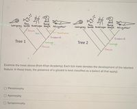 Sea
Bald
Sea
Bald
Lamprey bass Antelope eagle Alligator
Lamprey bass Antelope eagle Alligator
Jaws
Fur
Feathers
Gizzard
Gizzard
Tree 1
ings.
Tree 2
Lungs
Jaws
Jaws
Examine the trees above (from Khan Academy). Each tick mark denotes the development of the labelled
feature. In these trees, the presence of a gizzard is best classified as a (select all that apply):
Plesiomorphy
Apomorphy
Synapomorphy
