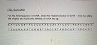 DNA Replication
For the following piece of DNA, draw the replicated piece of DNA show me where
the original and replicated strands of DNA end up.
A ATCCGTTACCCA A ACGATATC C GTTA AC C GC G
ITAG GCA ATGG GTTTG CTATAG GCA ATTGG C G C
