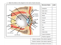 Answered: Match the letters on the diagram to the… | bartleby