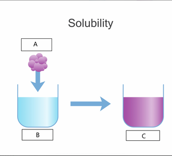 Answered: A B Solubility C | Bartleby