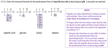 13.11) Draw the structural formula for the predominant form of Asp-Gly-Lys-Ala at physiological pH. Lone pairs are optional.
H H :0:
| ||
H-N-C C
|
H
CH₂
:0:
-0:
aspartic acid
H H :0:
T ||
H-N-C-C-0:
| T
H
H
+
glycine
H
H-N
H
H
|
C
:0:
__||
C -Ö:
CH₂
CH₂
CH₂
T
CH₂
H-N-H
H
lysine
H
H :0:
L | ||
H-N-C-C-0:
I
H
CH3
alanine
HINT:
Peptides are often identified by listing its amino
acid residues' three-letter abbreviations in
order from N-terminus to C-terminus.
To begin, draw the four amino acids side-by-side
(as shown on the right) and then connect them in
the same manner that was used for the dipeptide
in problem 13.7
Because the structures in your table of amino
acids are the predominant forms at
physiological pH, if you correctly connect
the amino acid structures from the amino acid
table, then the peptide that you draw will be
the predominant form at physiological pH.