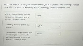 Match each of the following descriptions to the type of regulatory RNA affecting a "target"
gene (aka, the gene the regulatory RNA is regulating). Use each answer once.
This regulatory RNA may increase
siRNA
transcription of the target gene by
recruiting activator proteins.
secondary structures on RNA can
become...
IncRNA
these regulatory RNAs regulate gene
miRNA
expression post transcriptionally
generally by binding to the 3'-UTR
regions of their target RNAs
>
>