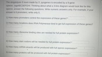 The streptolysin S toxin made by S. pyogenes is encoded by a 9-gene
operon, sagABCDEFGHI. Thinking about what a 3-line diagram would look like for this
operon, answer the following questions. Write numeric answers only. For example, if your
answer is 6 promoters, write only 6.
1) How many promoters control the expression of these genes?
2) How many locations does RNA Polymerase bind to get full expression of these genes?
3) How many ribosome binding sites are needed for full protein expression?
4) How many start codons will be needed for full protein expression?
5) How many mRNA strands will be produced with full operon expression?
6) How many proteins will be produced with full protein expression?
1