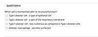 ### Question 6

**Which cell is mismatched with its structure/function?**

- ○ Type I alveolar cell - a type of epithelial cell
- ○ Type I alveolar cell - a part of the respiratory membrane
- ○ Type II alveolar cell - less numerous as compared to Type I alveolar cells
- ○ Alveolar macrophage - secretes surfactant