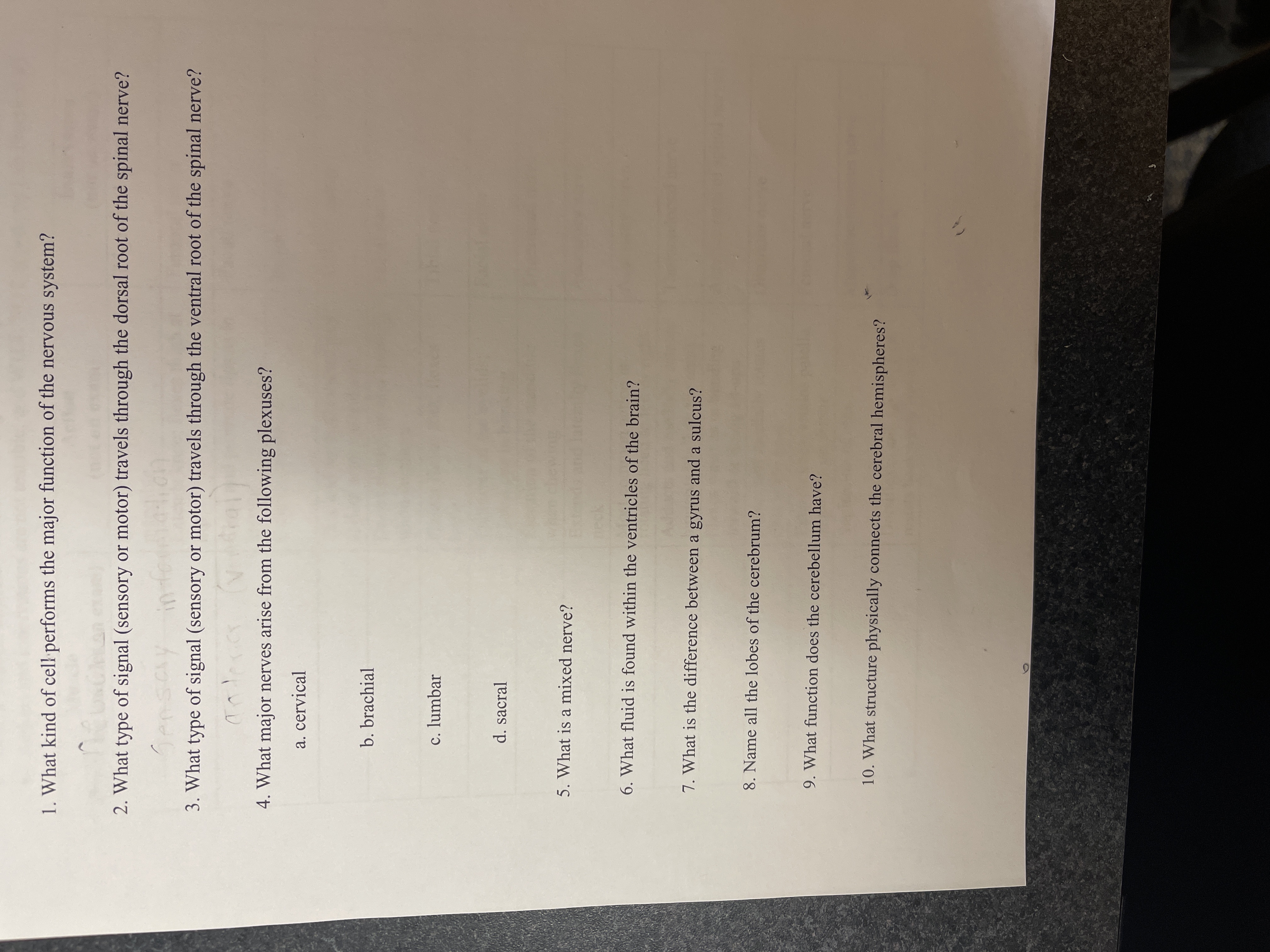 **Nervous System Educational Assessment**

1. What kind of cell performs the major function of the nervous system?

2. What type of signal (sensory or motor) travels through the dorsal root of the spinal nerve?

3. What type of signal (sensory or motor) travels through the ventral root of the spinal nerve?

4. What major nerves arise from the following plexuses?
   - a. cervical
   - b. brachial
   - c. lumbar
   - d. sacral

5. What is a mixed nerve?

6. What fluid is found within the ventricles of the brain?

7. What is the difference between a gyrus and a sulcus?

8. Name all the lobes of the cerebrum.

9. What function does the cerebellum have?

10. What structure physically connects the cerebral hemispheres?