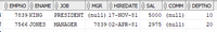 ### Employee Data Table

The table displayed is a sample dataset representing employee information in an organization. Below is a detailed explanation of each column and the data it contains:

1. **EMPNO (Employee Number)**: A unique identifier for each employee.
   - 7839
   - 7566

2. **ENAME (Employee Name)**: The name of the employee.
   - KING
   - JONES

3. **JOB (Job Title)**: The position or title of the employee within the organization.
   - PRESIDENT
   - MANAGER

4. **MGR (Manager ID)**: The employee number of the employee's manager. If `(null)`, it indicates the person does not report to a higher manager.
   - KING: (null)
   - JONES: 7839

5. **HIREDATE (Hire Date)**: The date the employee was hired.
   - KING: 17-NOV-81
   - JONES: 02-APR-81

6. **SAL (Salary)**: The salary of the employee.
   - KING: 5000
   - JONES: 2975

7. **COMM (Commission)**: The commission earned by the employee. This field may be `(null)` if the employee does not earn a commission.
   - Both entries are (null)

8. **DEPTNO (Department Number)**: The department to which the employee belongs.
   - KING: 10
   - JONES: 20

This table serves as an educational resource for understanding how employee details can be structured and retrieved in database systems. Each row represents a unique employee, and each column provides specific information about the employee's status and role within the organization.