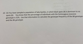 167
10. (5) You have sampled a population of lady beetles, in which black spots (B) is dominant to no
spots (b). You know that the percentage of individuals with the homozygous recessive
genotype is 32%. Use that information to calculate the genotype frequency of the BB genotype
and the Bb genotype.