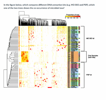 In the figure below, which compares different DNA extraction kits (e.g, MO BIO and PSP), which
one of the two trees shows the co-occurrence of microbial taxa?
Proportion of max
0 0.2 0.4 0.6 0.8
traction Mark
Air Swa
Ste Swib
Starie Sweb
Placenta (MS) 70
Extraction ark
Motie Ar SD
Mobie Sarie Swab
Placenta (MS)
Placenta (MS)
Matic Draction Dark
Extraction Mark
Placenta (MS)
Extraction Bark
tie Placenta (MB)
Motic Storie Swab
Extraction Bark
enta (FS)
Motio
Motio
enta (MS)
Swab
Vajirel Sa
Vaginal Swab
Vaginal Swab
Vagine Besb
fraction Dark
Starie Swee
Starte Swab
Extraction ark
Air Swab
Air Swab
RR888888ERBESRE
Placenta
Placenta
Bea
Motic Star Swab
87
Placenta (FS) 70
Ar Swab
Ar 90
Air Swap
3898392288
67
MO BIO kit
Oral Samples
(both kits)
PSP kit