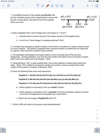 10:16 AM Fri Sep 2
<
то
1. A simplified structure of the peptide Lys-Glu-Ser with
just the ionizable groups in the charged state is shown with
the pKa of each group. Calculate the pl for this peptide.
Show your work.
pka = 8.5
H3N+
NH3*
pKa 10.0
2. Draw a dipeptide with a trans linkage and a net charge of -1 at pH 7
a. Indicate which six atoms are part of the planar structure of the peptide bond.
b. Is the Cis or Trans linkage of a peptide preferred? Why?
COO- OH
pka=4.2
3. A mutation that changes an alanine residue in the interior of a protein to a valine is found to lead
to a loss of activity. The activity is regained when a second residue is mutated from an isoleucine
to a glycine. Why would this mutation restore activity?
5. Tetrahydrofuran, THF, a water-soluble ether, has a lower dielectric constant (less polar) than
water. When THF is added to an aqueous solution of a protein, would you expect the a-helix
content of the protein to increase or decrease. Why?
6. Given the following three amino acid sequences:
7. What is SDS and what is its purpose in gel electrophoresis?
+:
4. The proteases chymotrypsin and trypsin cleave on the C terminal side of Phe and Arg
respectively. During purification, one must be more careful with trypsin since it is known to cleave
itself much more readily than chymotrypsin. Why?
Peptide # 1: Val-Phe-Val-lle-Val-Pro-Gly-Tyr-Val-Phe-Leu-Val-Pro-Gly-Val
Peptide # 2: Met-Ala-Glu-Ala-Glu-Ala-Ala-Met-Lys-Lys-Ala-Ala-Met-Lys
Peptide # 3: Pro-Gly-Ala-Pro-Gly-Ala-Pro-Gly-Gly-Pro-Gly-Pro-Ala-Gly-Pro
a. Which peptide is most likely to form an a-helix? Explain
pka = 3.5
COO-
@83%
b. Which peptide is most likely to form a ß-sheet? Circle the most likely residues involved
in the turns of the ß-sheet on the peptide your chose above.
c. What is the net charge of Peptide #2 at pH 14?
(113
+