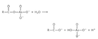 R-C-0-As-O + H2O
||
R-C-O + HO-As-O- + H+
Lo +
