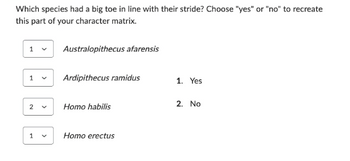 Which species had a big toe in line with their stride? Choose "yes" or "no" to recreate
this part of your character matrix.
1
1
2
1
Australopithecus afarensis
Ardipithecus ramidus
Homo habilis
V Homo erectus
1. Yes
2. No