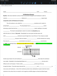 11:28 PM Fri Oct 9
* 29% O
T
of
+ :
Oct 8, 2020 at 2:10 PM
NAME
DATE
PERIOD
Cell Membrane Discovery
Big Idea: Cells move materials in and out of their environment through the cell membrane in order to
maintain
(balance) or
(equal state).
Composition of the Cell Membrane & Functions:
The cell membrane is also called the
membrane and is made of a
phospholipid
The phospholipids have a
(water
attracting or polar) head and two
(water repelling or non-polar)
The head of a phospholipid is made of an alcohol and phosphate group,
while the tails are 2 chains of fatty acids. Phospholipids can move apart and allow water and
other
molecules to pass through into or out of the cell. This is known as simple
because it does not require
and the molecules are moving
from areas of
concentration to an area of
concentration.
1. LABEL a phospholipid bilayer coloring the heads red and the tails blue. 2. LABEL the structure that is hydrophobic
and hydrophilic.
PHOSPHOLIPID
molecule
membrane
Another type of lipid in the cell membrane is
that makes the membrane
more stable. Embedded in the phospholipid bilayer are
that also aid in
diffusion and in cell transport. Proteins called
_proteins go all the way
through the bilayer. They allow large molecules like
and
to
move across cell membranes. Some of the membrane proteins have carbohydrate receptors (look like chains)
attached on the surface that are involved in cell recognition and ABO antigens on blood cells (blood type).
1
>
OH
