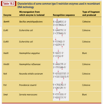 Table 18.2 Characteristics of some common type II restriction enzymes used in recombinant
DNA technology
Microorganism from
Type of fragment
Enzyme
which enzyme is isolated
Recognition sequence
end produced
BamHI
Bacillus amyloliquefaciens
5-GGATCC-3
Cohesive
3'-CCTAGG-3'
EcoRI
Escherichia coli
5'-GAATTC-3
Cohesive
3'-CTTAAG-5'
EcoRII
Escherichia coli
5-CCAGG-3'
3'-GGTCC-5'
Cohesive
Haelll
Haemophilus aegyptius
5-GGCC-3'
3-CCGG-5
Blunt
HindIII
Haemophilus influenzae
5'-AAGCTT-3'
3'-TTCGAA-5
Cohesive
Notl
Nocardia otitidis-caviarum
5-GCGGCCGC-3
Cohesive
3'-CGCCGGCG-5
Pstl
Providencia stuartii
5-CTGCAG-3'
Cohesive
3'-GACGTC-5'
↑
Smal
Serratia marcescens
5-CCCGGG-3'
Blunt
3'-GGGCCC-5'